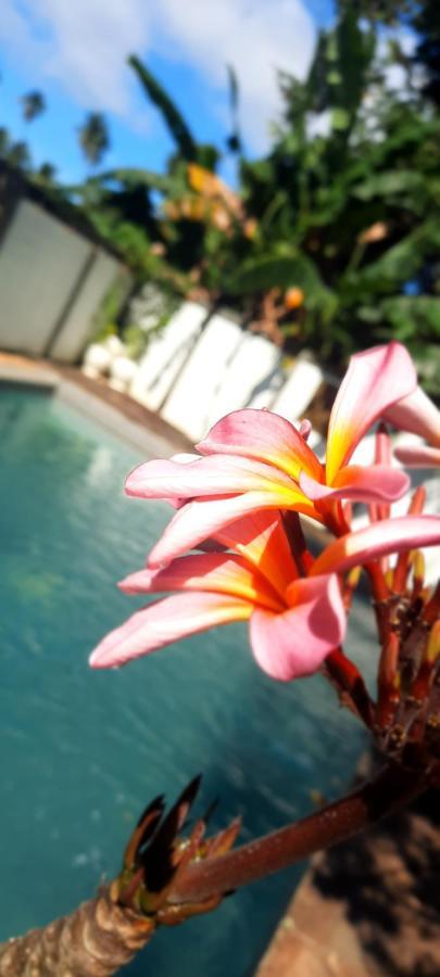 Guesthouse The 4 Fish Manado Zewnętrze zdjęcie